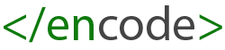 Encode Digital Solutions Logo